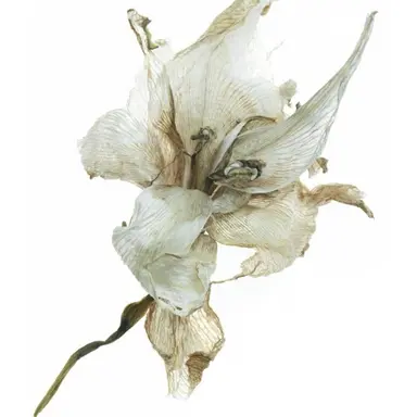 Profile image of 서목진