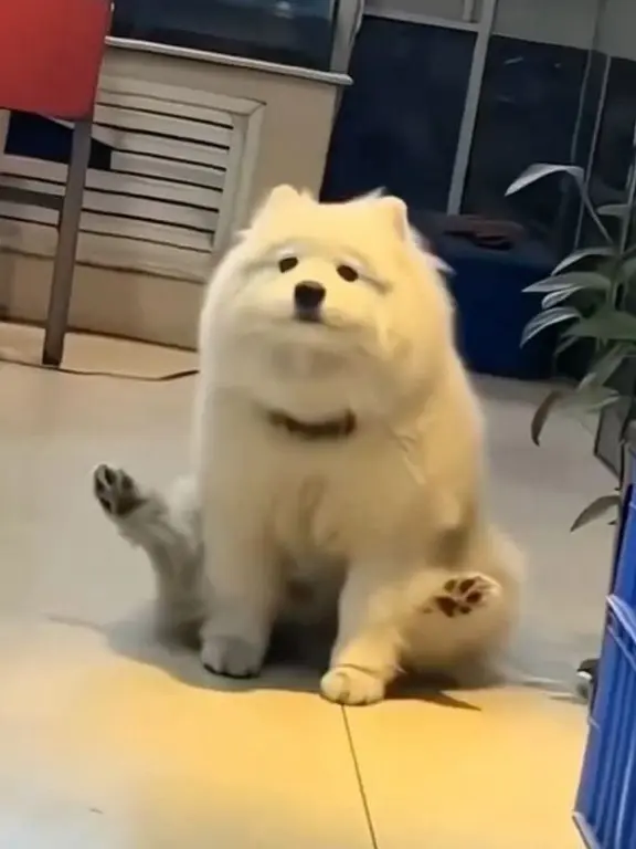 BlandTetra8819의 お...俺は何も...！