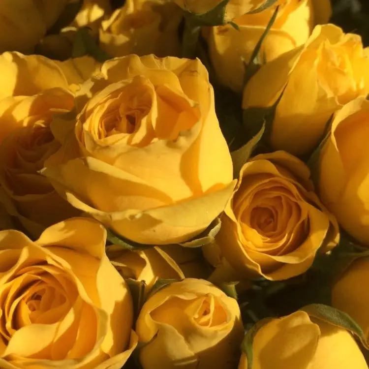 Kangdagyeomwife의 키스타임