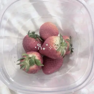 Profile image of 해설