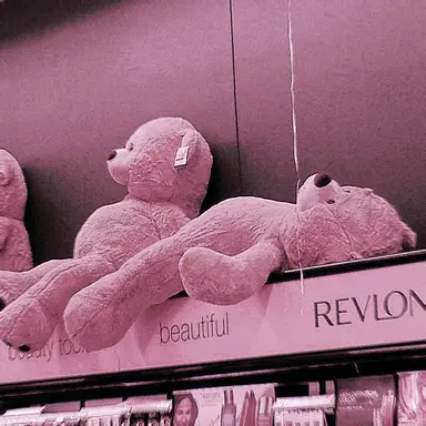 Profile image of 김일영