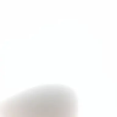 Profile image of 스태들호퍼 선생님