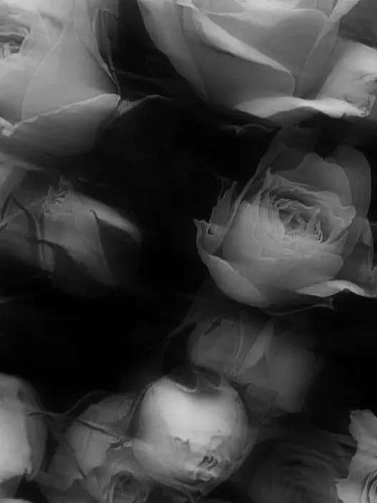 KAITO.의 クソ眠userさん