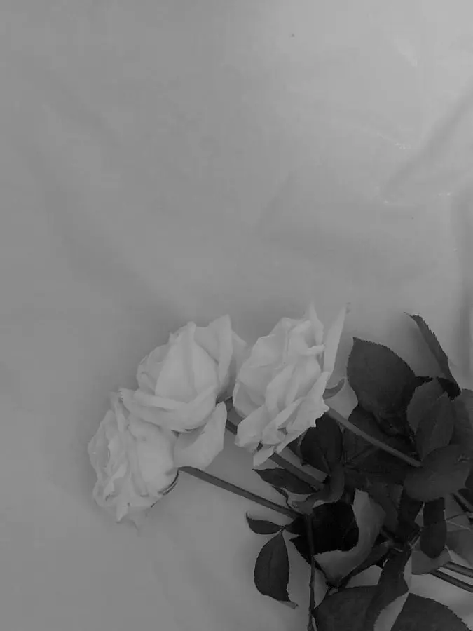 Yu-ki_0379의 お前本当に患者？