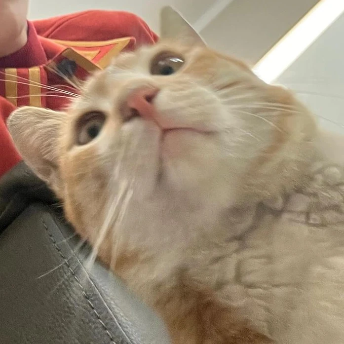 부 승괁