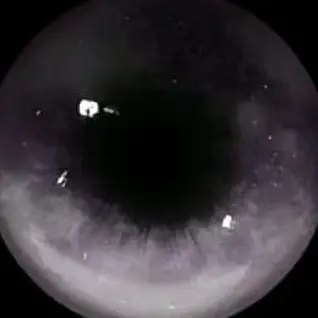 Profile image of 藤牧京介