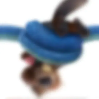 Profile image of 니블스 메이플스틱