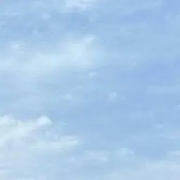 Profile image of 황용식