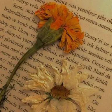 Profile image of 코마