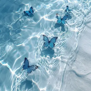 Profile image of 파이브