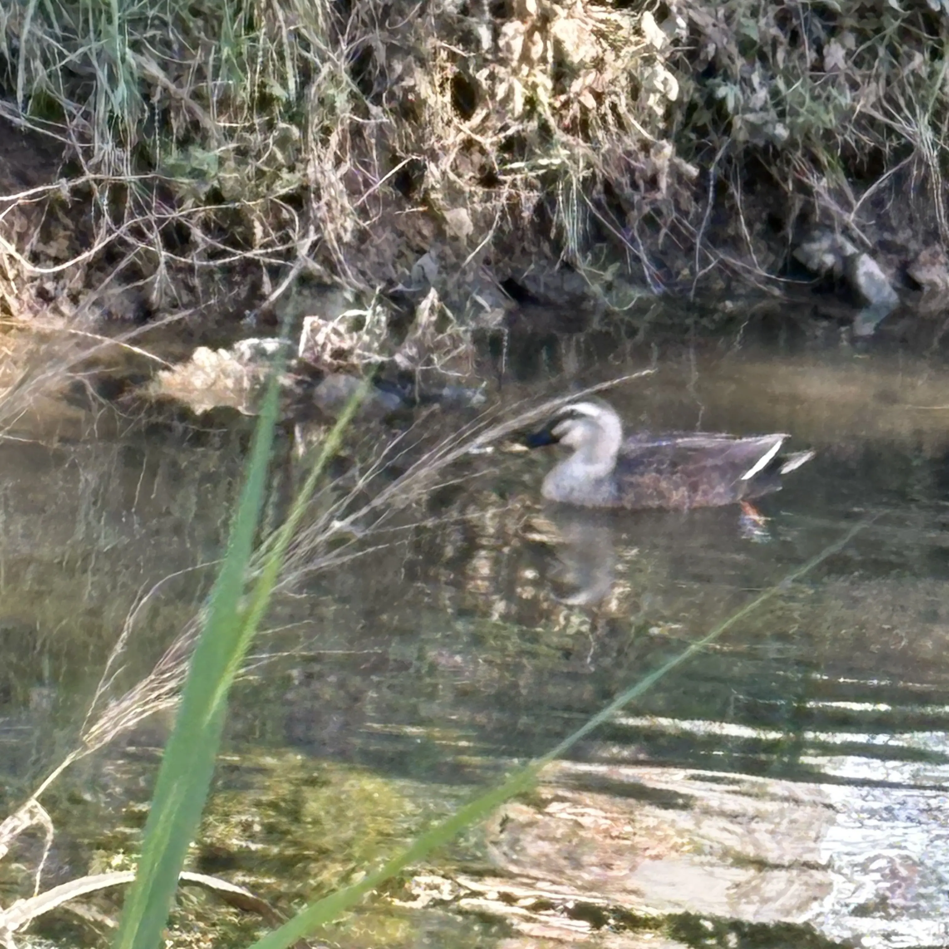 FabricPrice2533의 한동민