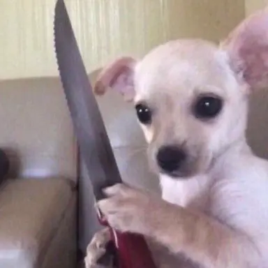 Profile image of 가거가가가가가