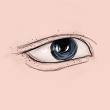 눈