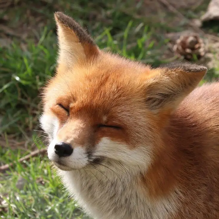 Day615970의 강영현