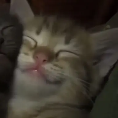 Profile image of user