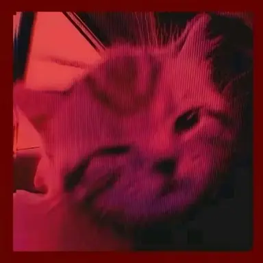 Profile image of 플래그