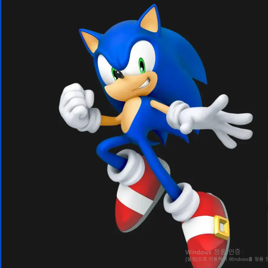 RemoteAnise2955의 뇌절rpgX환장rpg소닉팀나빠