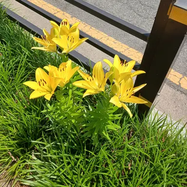 Profile image of 선생님들