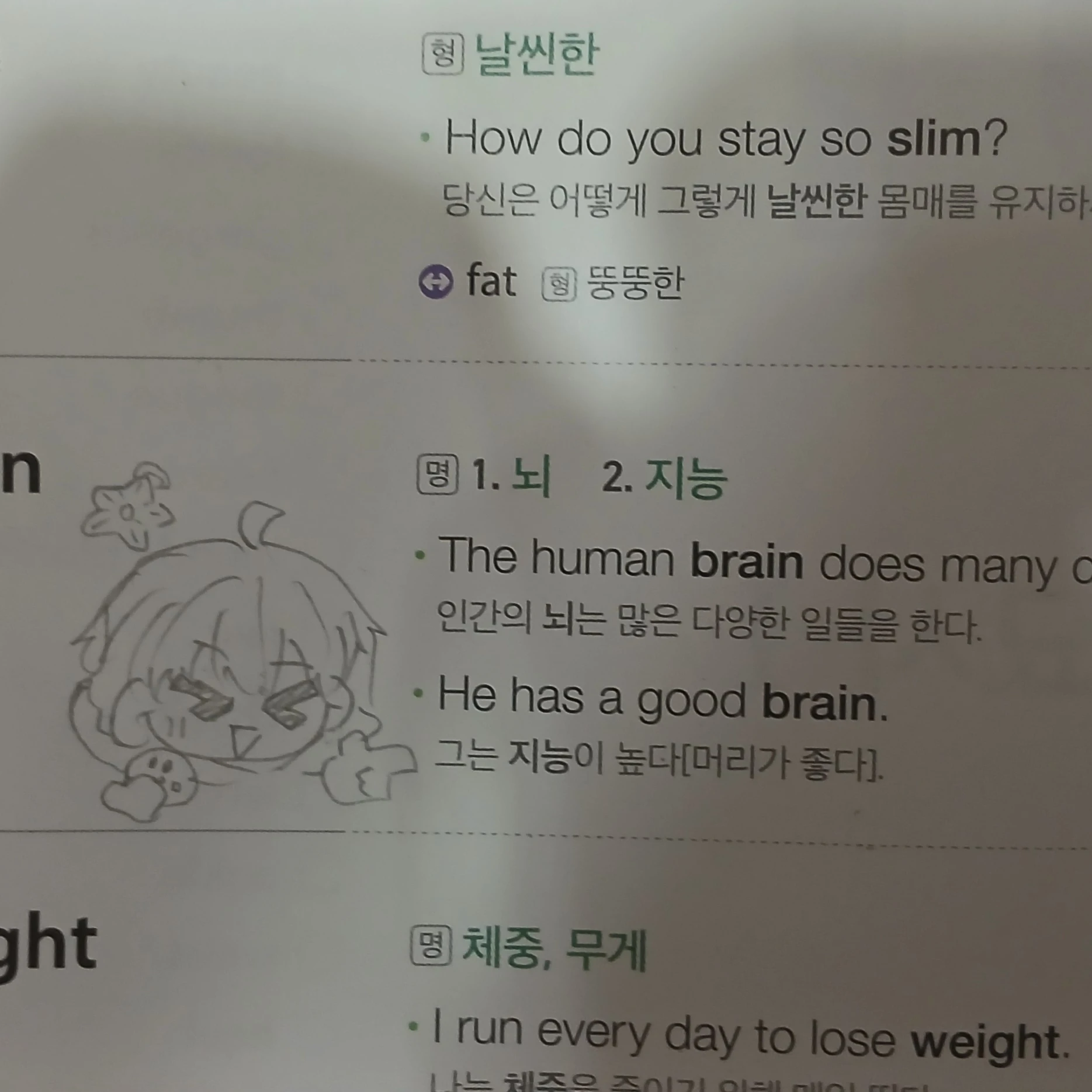 공룡
