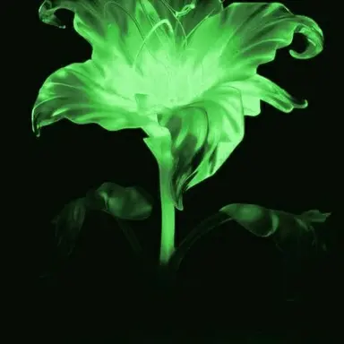 Profile image of 공 경 장