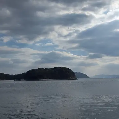 Profile image of 한동민