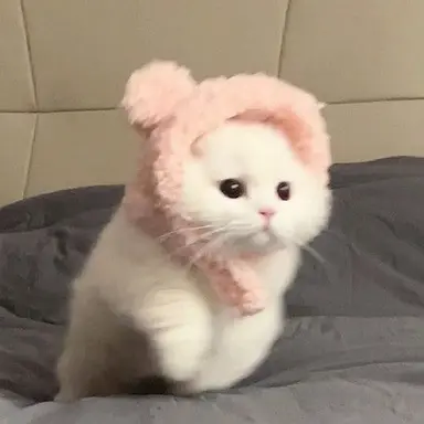 Profile image of 또또
