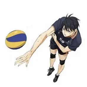 Profile image of 影山　飛雄