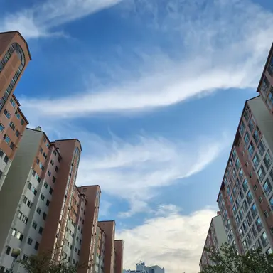 Profile image of 여우