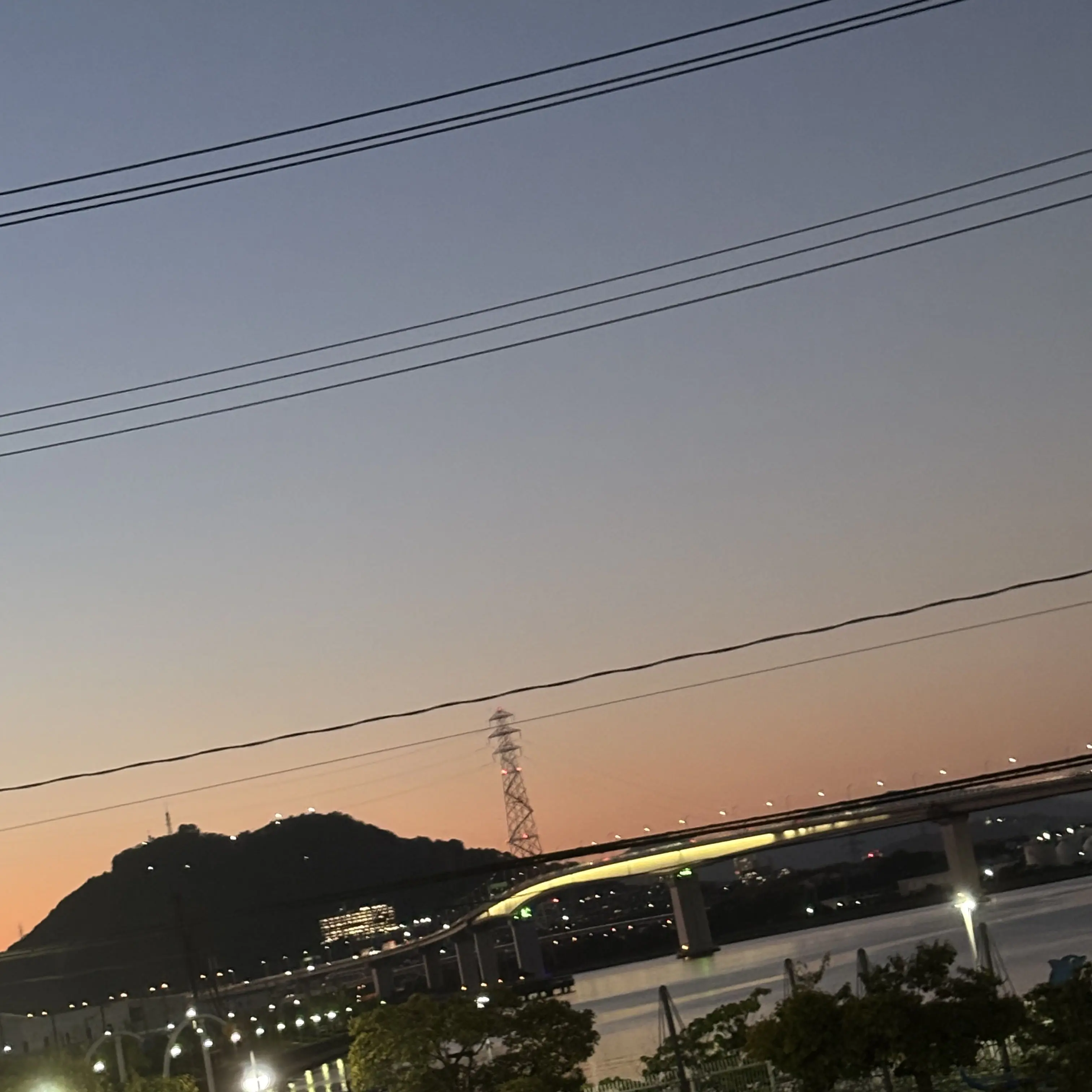 IdealPrice9549의 幼馴染に好かれました。