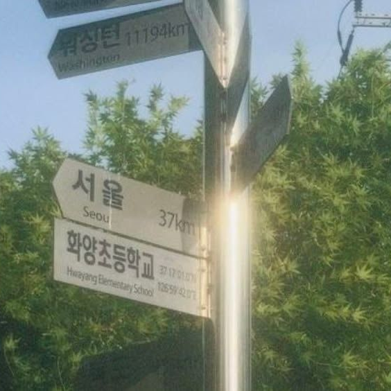 너의 계절은 8월이었다 대표 이미지