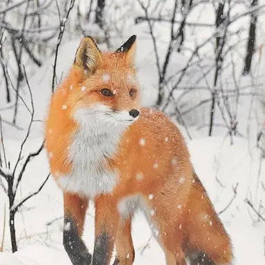 Profile image of 이츠케