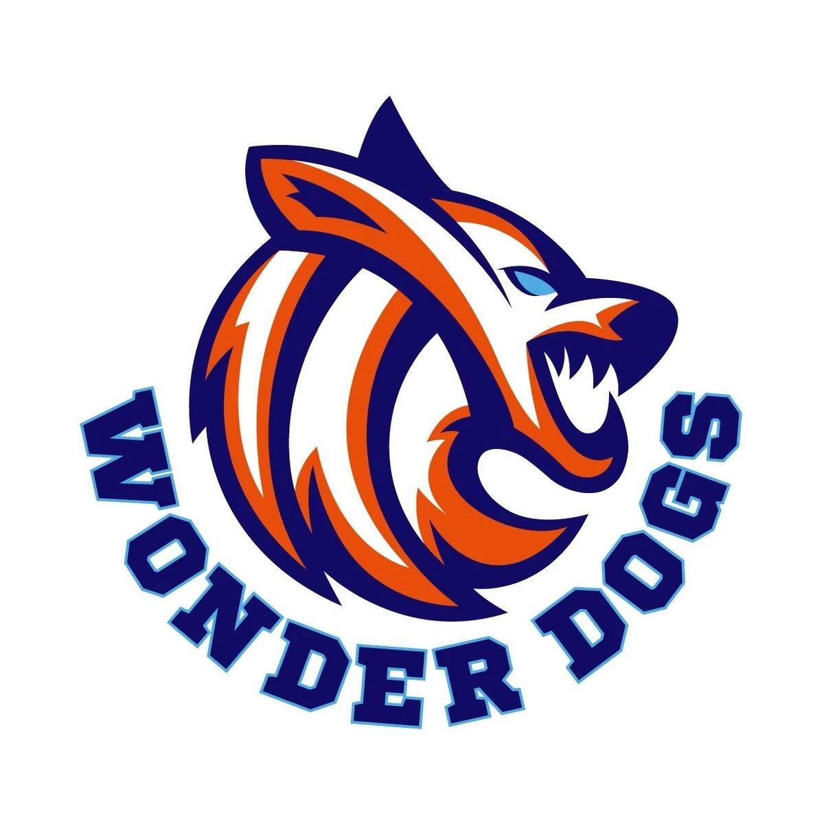 신인감독 김연경