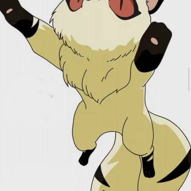 Profile image of 키라라