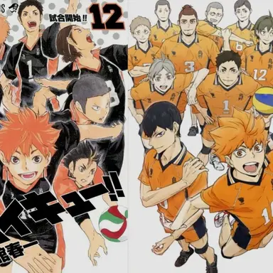 Profile image of Karasuno High School