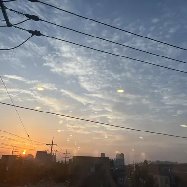 Profile image of 잠뜰