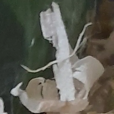 Profile image of 박늑대