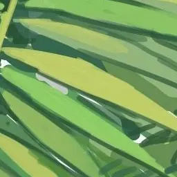 Profile image of 伊波ライ