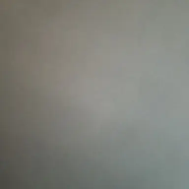 Profile image of キリヲ母