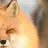 영현