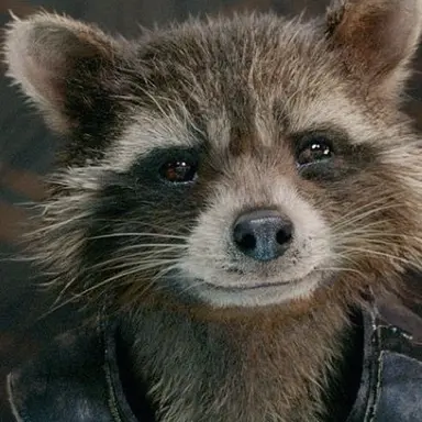Profile image of Rocket