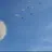 리리