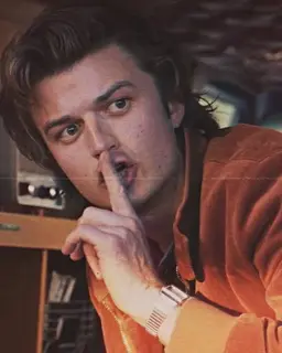 Profile image of Steve Harrington