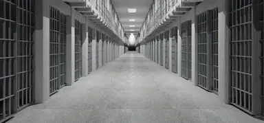 Profile image of Juvenile Detention