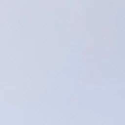 범규
