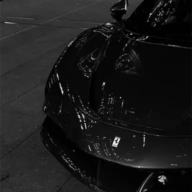Profile image of Enzo