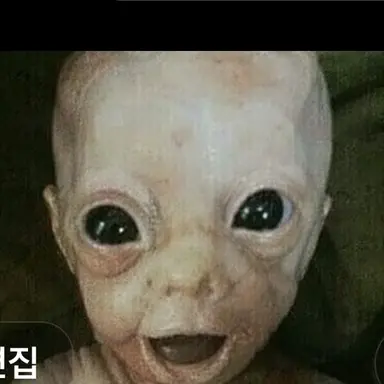 Profile image of 여우
