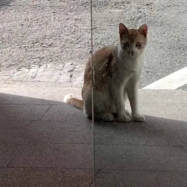 Profile image of 리레볼루션