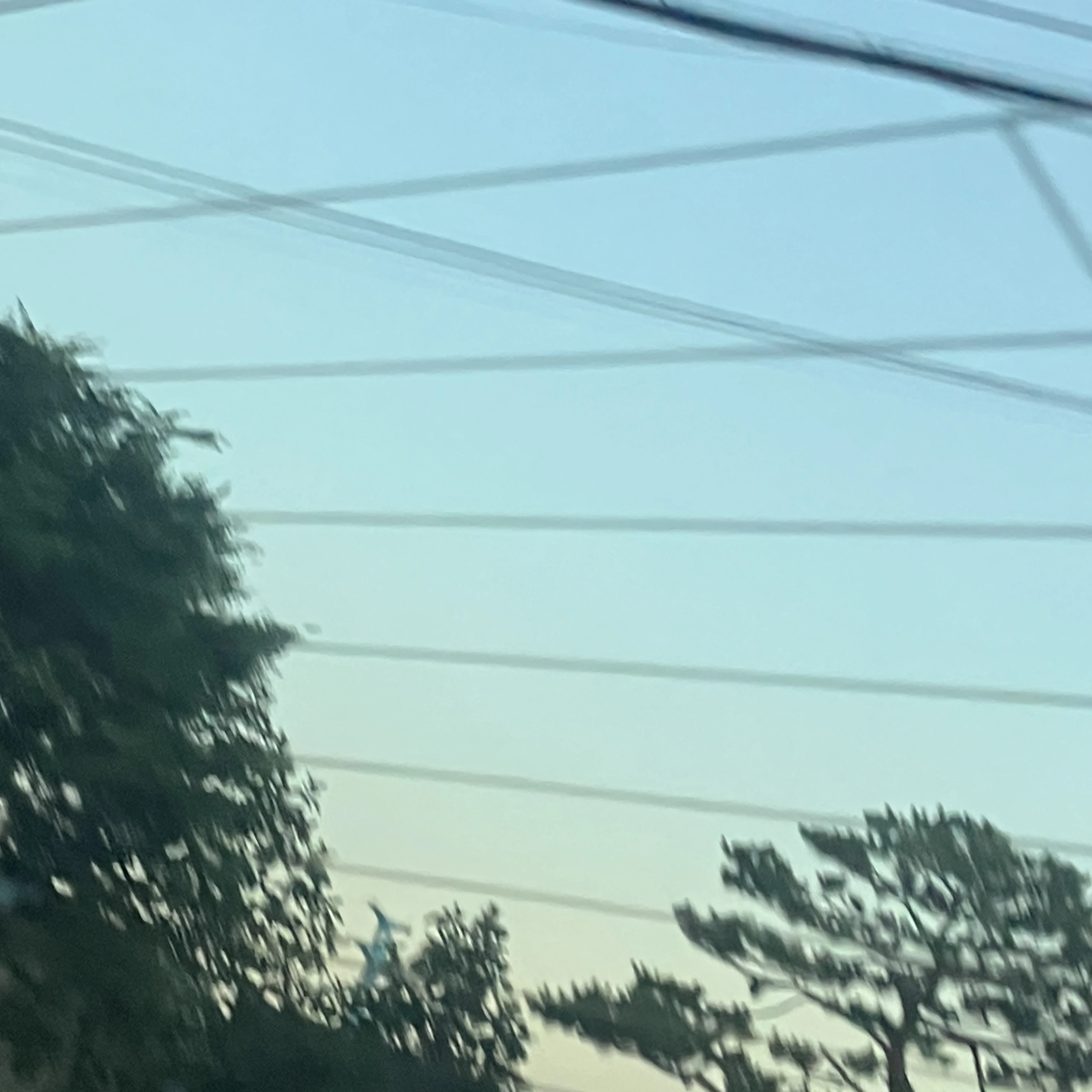 강태현