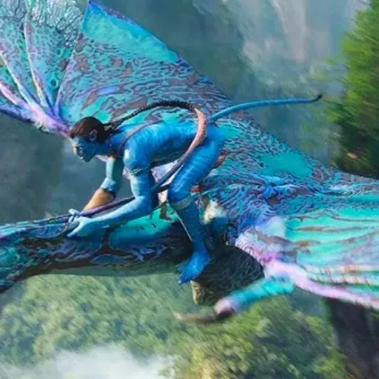 KnottySand0844의 Navi