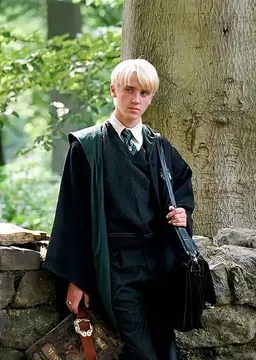 Profile image of Draco Malfoy